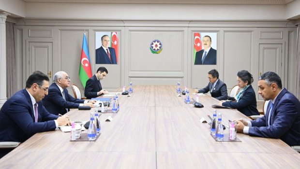 Baş nazir BMT Komissiyasının icraçı katibini QƏBUL EDİB