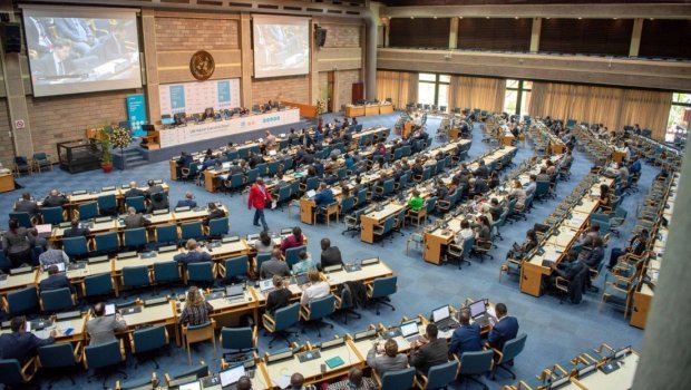 Azərbaycan BMT-nin Məskunlaşma Proqramının İcraiyyə Şurasının sessiyasında TƏMSİL OLUNUR - FOTO