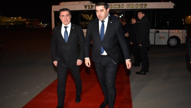 Gürcüstan Parlamentinin sədri Azərbaycana gəldi - FOTO
