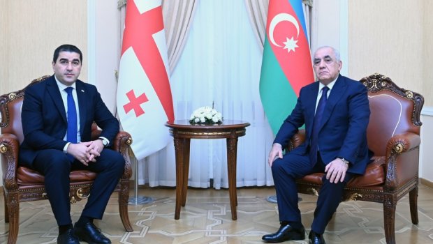 Baş nazir Gürcüstan parlamentinin sədri ilə ölkələrarası ticarət-iqtisadi əlaqələrini MÜZAKİRƏ ETDİ