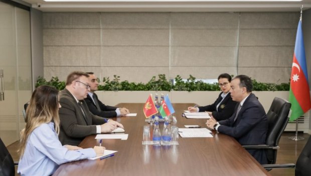 Azərbaycan ilə Monteneqro arasında əlaqələrin inkişafı müzakirə edilib - FOTO