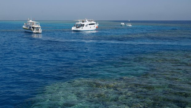 Artıq üçüncü böyük şirkət Qırmızı dənizdə daşımaları DAYANDIRDI