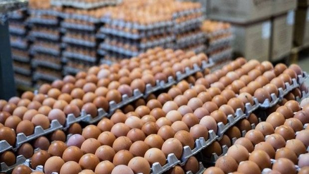 Rusiya yumurta idxalı üçün rüsumları LƏĞV ETDİ 