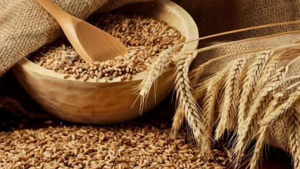 Buğda idxalı ƏDV-dən AZAD EDİLDİ