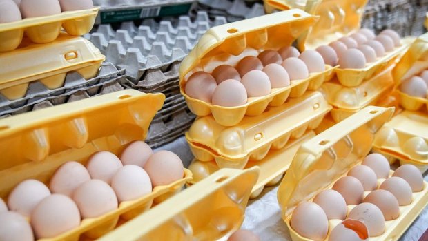 Türkiyə Rusiyaya 19 tondan çox toyuq yumurtası idxal edir