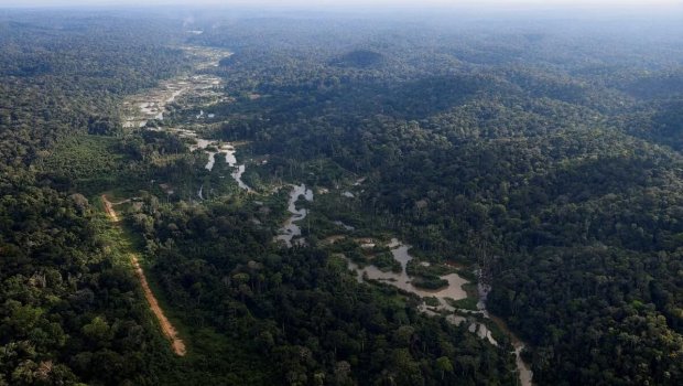 Amazon meşələrində 2,5 min il yaşı olan yaşayış məskənləri AŞKAR EDİLDİ – FOTO  