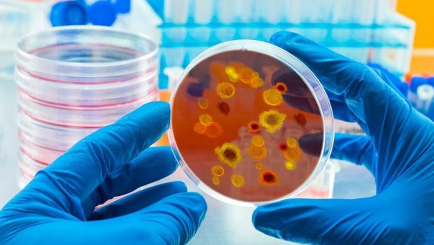 Dünya yeni təhlükə ilə ÜZ-ÜZƏ: COVID-19-dan da dəhşətli virus GƏLİR