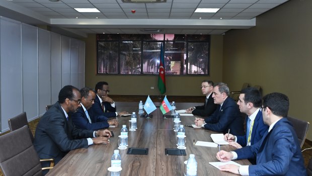 Somalinin dövlət naziri Azərbaycana TƏŞƏKKÜR ETDİ  - FOTO