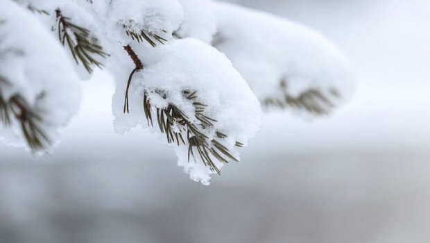 Türkiyədə rekord dərəcədə qar yağdı - VİDEO