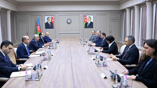 Əli Əsədov Gürcüstanın təhsil, elm və gənclər nazirini QƏBUL EDİB