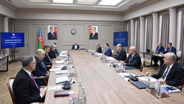 İqtisadi Şuranın cari ildə ilk iclası keçirildi - FOTO