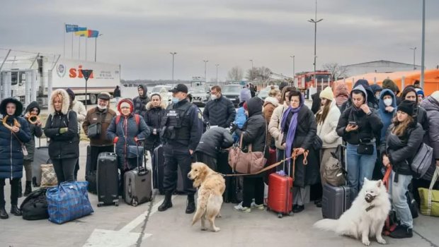 Hollandiya ukraynalı qaçqınları geri göndərir