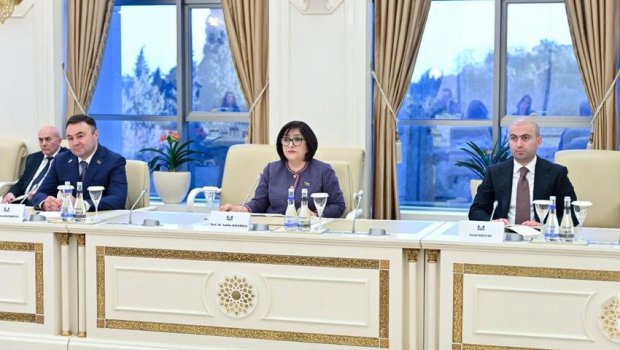 Sahibə Qafarova: “Fransa Cənubi Qafqazda sülhün əldə olunmasını istəmir”