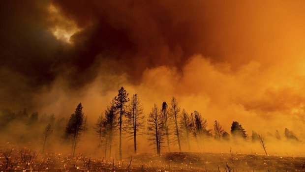 Çilidə meşə yanğınları: Ölənlərin sayı 64-ə çatdı - YENİLƏNİB