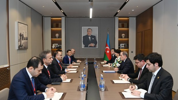 Nazir TÜRKPA-nın Müşahidə Missiyasının rəhbərini Prezident seçkilərinə hazırlıq işləri barədə MƏLUMATLANDIRIB - FOTO