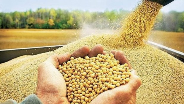Xaricdən GMO toxumlar idxal olunur? – AÇIQLAMA 