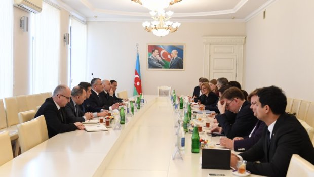 Almaniyalı deputatlar Böyük Qayıdışın müxtəlif aspektləri barədə məlumatlandırılıb