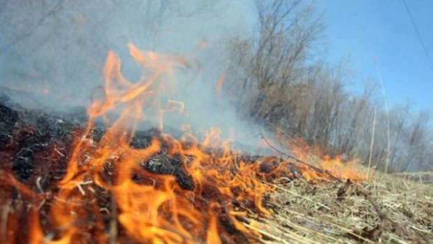 Novxanıda açıq ərazidə başlayan yanğın evə KEÇDİ 