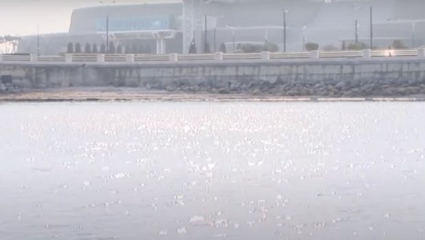 Milyonlarla insan təsirlənəcək: Tədbir görülməsə, Xəzərin böyük bir hissəsi yox olacaq – VİDEO 
