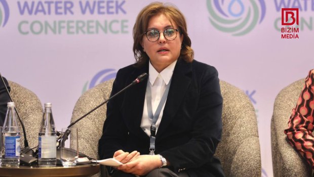 “Bölgələrimizdən su azlığı ilə bağlı şikayətlər gəlir” – Umayra Tağıyeva 