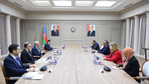 Baş nazir ÜST-ün Baş direktorunu Azərbaycanda səhiyyə sistemində aparılan köklü islahatlar barədə məlumatdırıb - FOTO