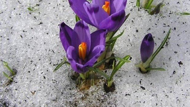 Novruz bayramında hava kəskin SOYUYACAQ 