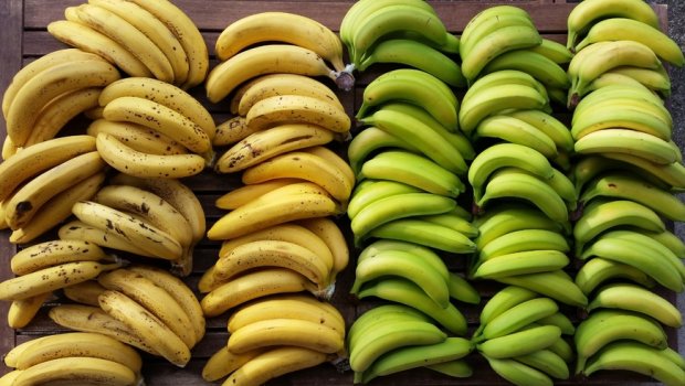 Banan adı ilə aldığımız meyvə 