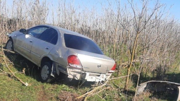Cəlilabadda minik avtomobili ağaca çırpılıb, xəsarət alan var - FOTO