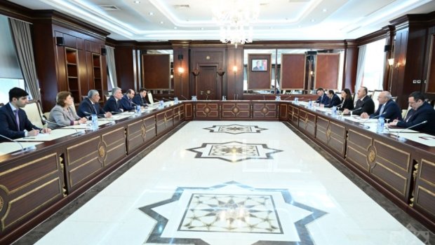 TBMM-in NATO PA-dakı nümayəndə heyəti Milli Məclisdə olub - FOTO