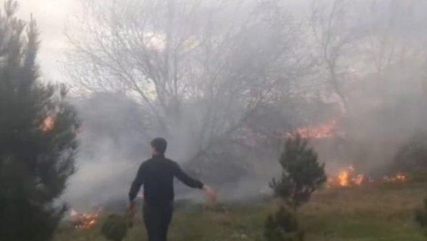 Külək Yevlaxda bir neçə yerdə yanğına səbəb olub - FOTO