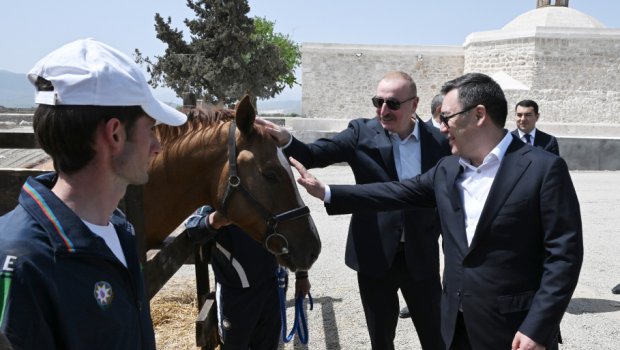 İlham Əliyev Sadır Japarova Qarabağ atı hədiyyə etdi - FOTO