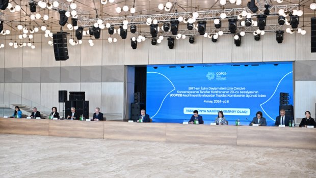 COP29-la bağlı iclas: Mühüm məsələlər müzakirə olundu – FOTO