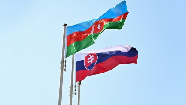 Azərbaycan-Slovakiya sənədləri İMZALANDI - VİDEO
