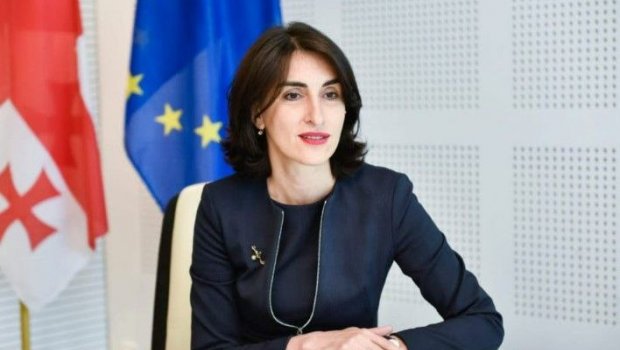 Gürcü deputat: “Avropa Parlamenti etiraz ittihamını gücləndirmək istəyir”