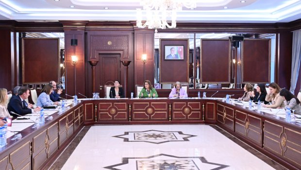 Dövlət Komitəsinin illik məlumatı Milli Məclisin plenar iclasına tövsiyə olundu - FOTO