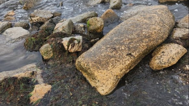 Nardaran çimərliyinin çirklənməsi ilə bağlı görüntülər ARAŞDIRILIB - FOTO