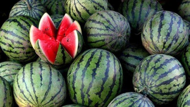 Mövsümündən əvvəl satışa çıxarılan qarpızın QORXUNC ZƏRƏRLƏRİ