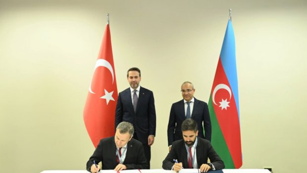 Türkmən qazı Azərbaycandan Türkiyəyə nəql ediləcək - Müqavilə imzalandı - FOTO