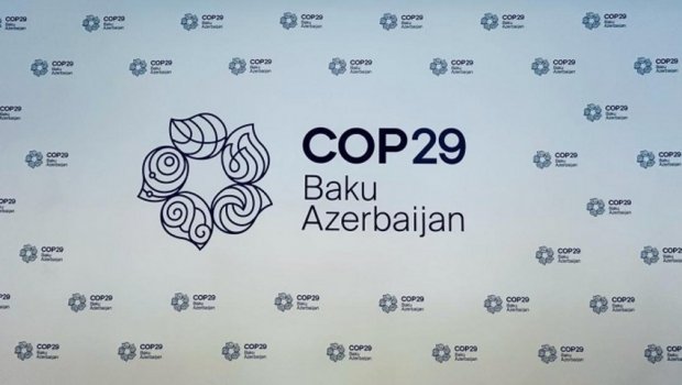 COP29 Könüllülük Proqramına qeydiyyat bu gün başa çatır