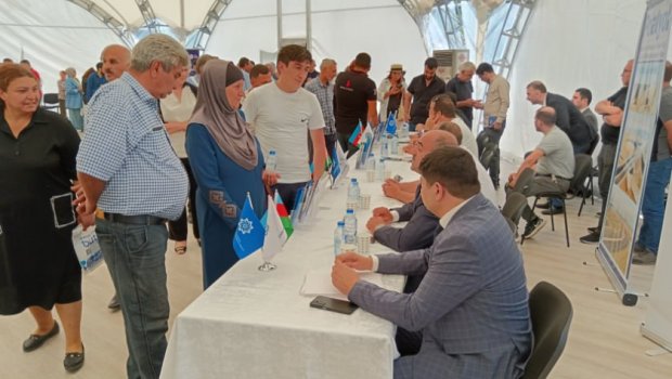 Laçında iş axtaranların NƏZƏRİNƏ: 335 vakansiya var - FOTO