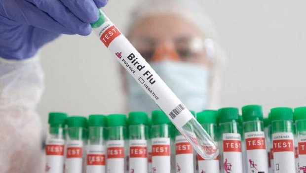 Meksikada quş qripinə ilk yoluxan şəxs VƏFAT EDİB 