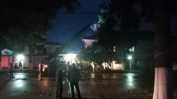 Göyçayda güclü külək: şam ağacları yaşayış evinin üzərinə aşdı - FOTO