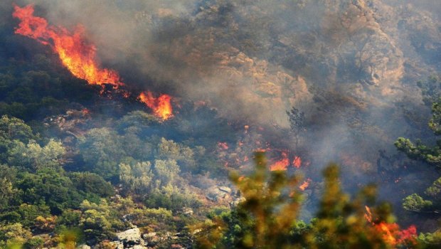 Türkiyədə meşə yanğını BAŞ VERİB