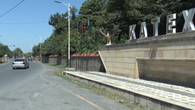 Zaqatala və Balakəndə ağaclar elektrik naqillərinin üzərinə aşdı - FOTO