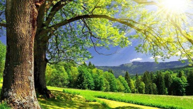 Sabah 35 dərəcə isti olacaq – PROQNOZ