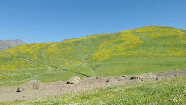 Qubada torpaq sürüşməsi səbəbindən Şahdağa gedən yol BAĞLANDI – FOTO