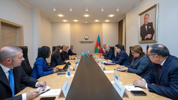 UNEP ilə Azərbaycan arasında COP29 çərçivəsində əməkdaşlıq məsələləri MÜZAKİRƏ EDİLDİ