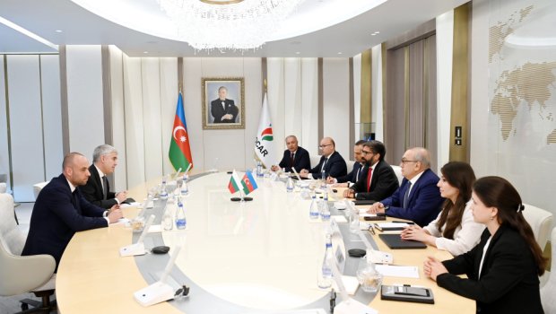 Azərbaycan və Bolqarıstan arasında enerji sahəsində əməkdaşlıq müzakirə edilib - FOTO