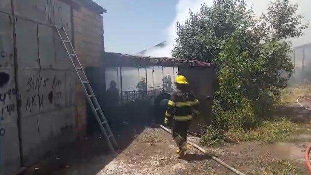 Şəkidə fermada YANĞIN OLUB - FOTO