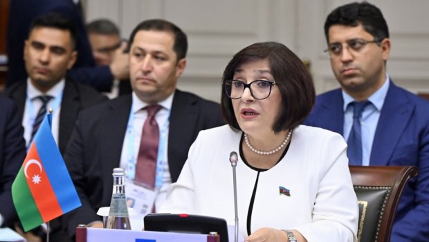 VI çağırış Milli Məclisin sədri MDB PA Şurasının İCLASINDA - FOTO